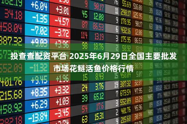 投查查配资平台 2025年6月29日全国主要批发市场花鲢活鱼价格行情