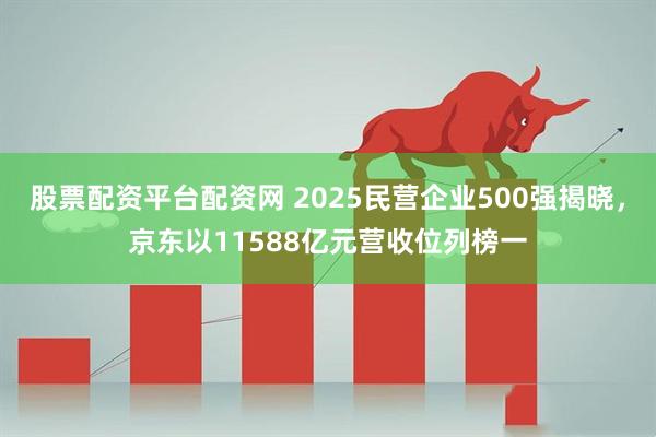 股票配资平台配资网 2025民营企业500强揭晓，京东以11588亿元营收位列榜一